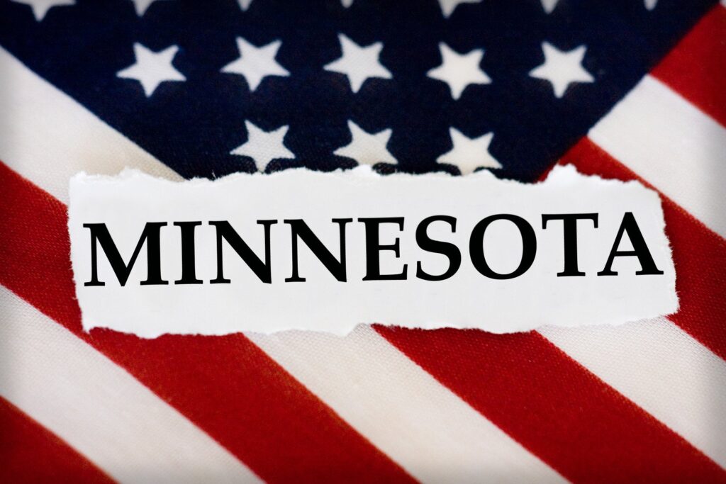 Minnesota state representation