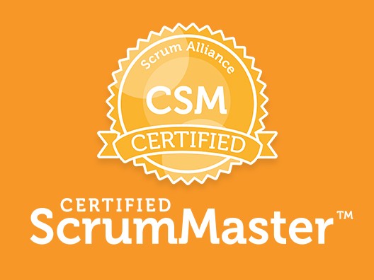 2. Certified ScrumMaster (CSM)​