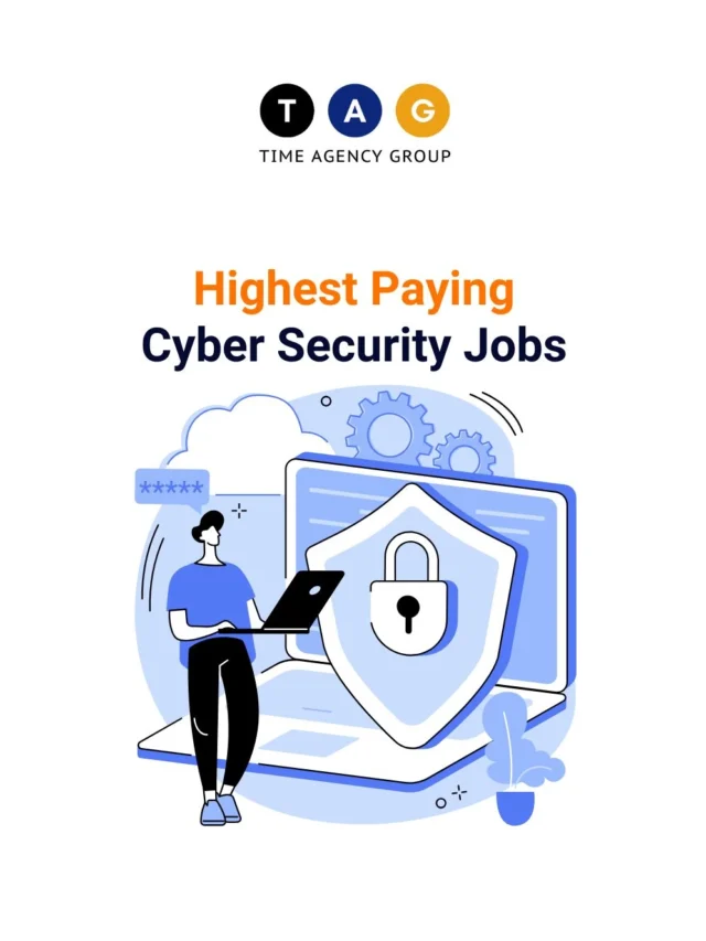 cyber security highest paid jobs